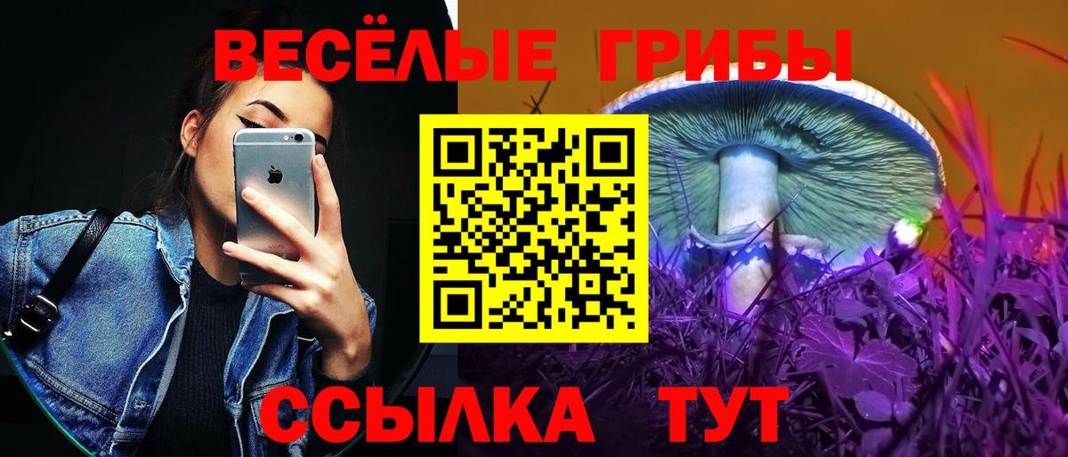 Псилоцибиновые грибы Psilocybine cubensis  Вход с VPN  Киреевск 